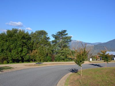 Fiddleback Drive, Tawonga South