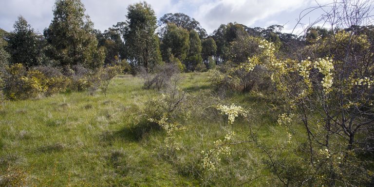 McRoberts Road, Locksley