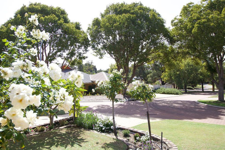 35 Scotford Way , Baldivis