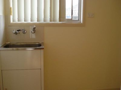 Mount Warrigal
