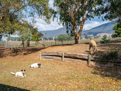 1454 Yackandandah-Dederang Road, Dederang