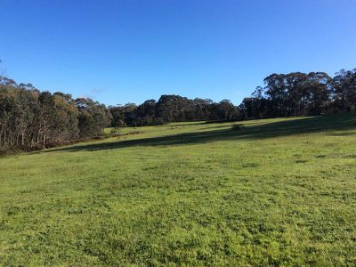 280 Landscape Road, Tallarook