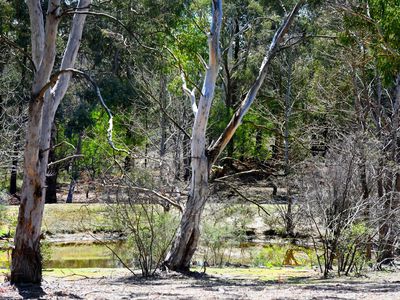 6 Carribee Close, Berrima
