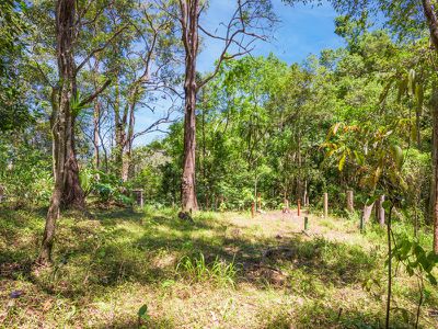 138 Gerrard Road, Eudlo