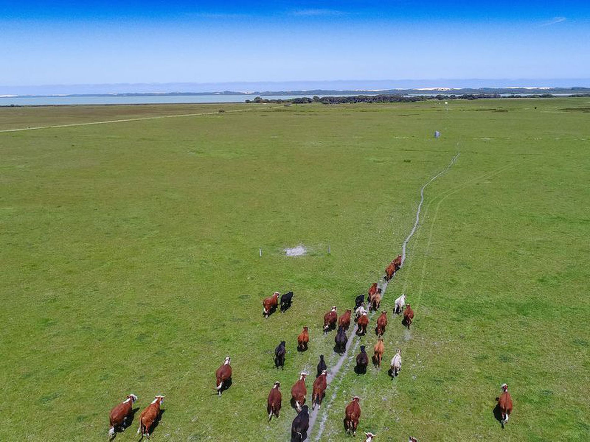 1420 Canunda Frontage Road, Canunda