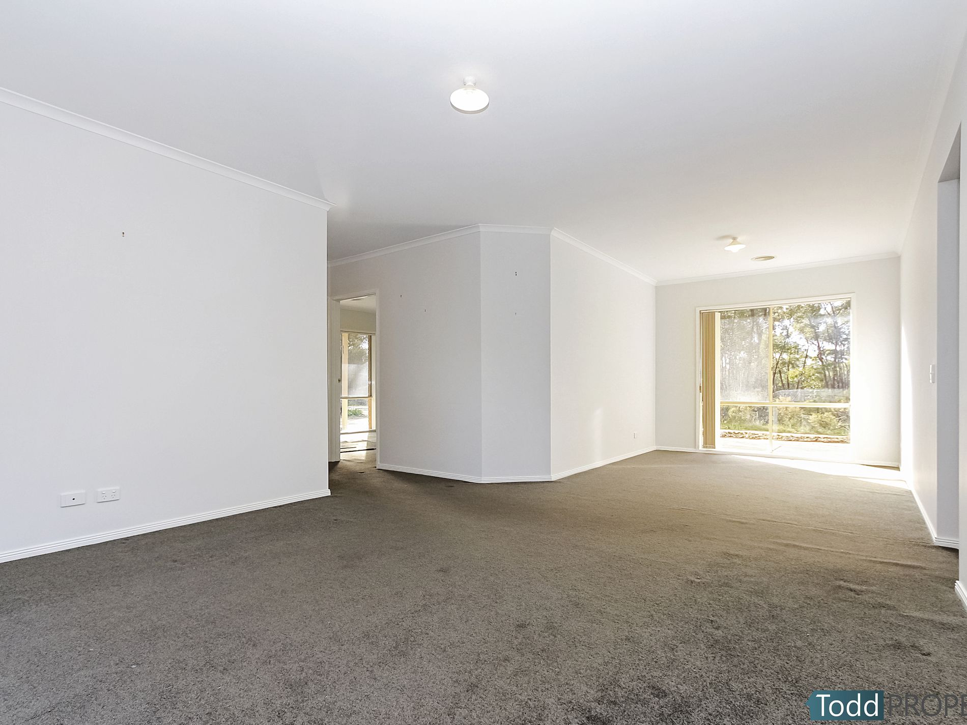 23 Braeside Drive, Junortoun