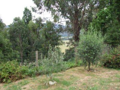 1 Braeside Court, Tawonga South