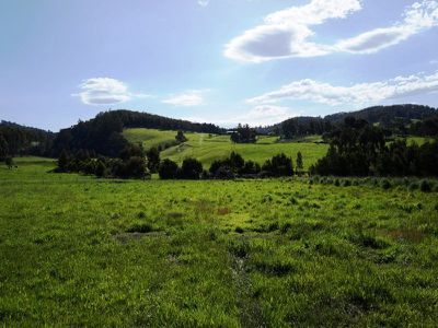 2 Christina Street, Cygnet