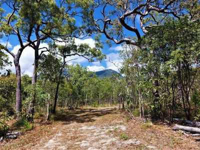 1105 Mount Amos Road, Cooktown