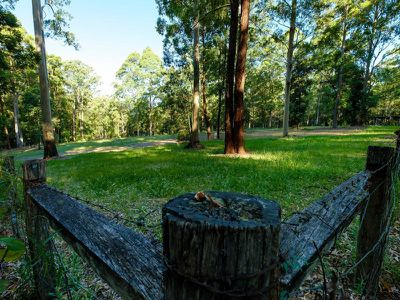 486 Davis Road, Jiggi