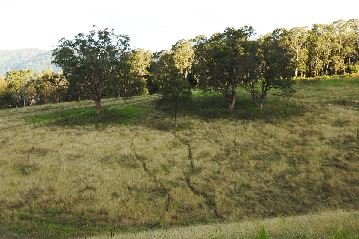 Lot 2, Norwood Lane, Mount George