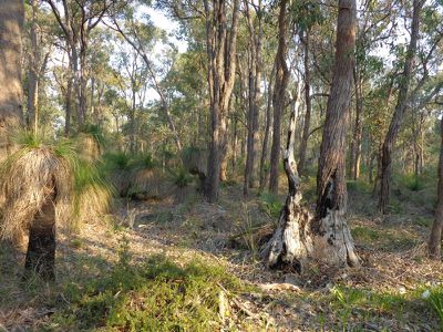 350-390 Robinson Road, Mahogany Creek