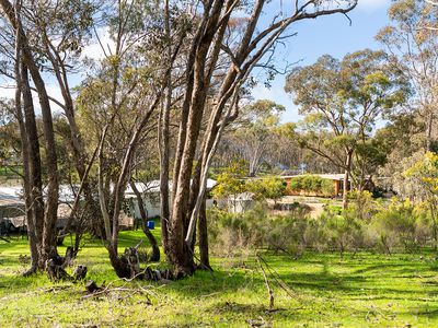 50 Willy Milly Road, Mckenzie Hill