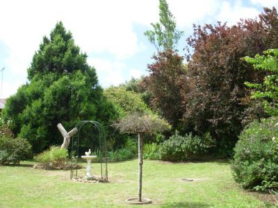 31 Doughty Street , Mount Gambier