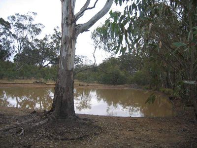 C / A 19J MT CAMEL-GREYTOWN ROAD, Redcastle