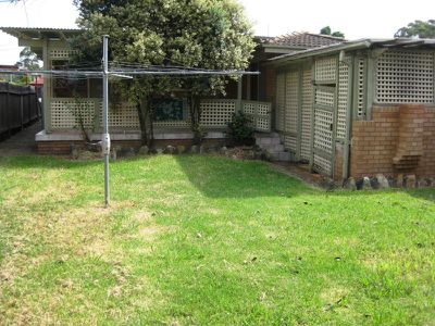 Lurnea