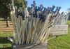 Hazelbrook Farm Nursery - 270 Pine Road, Penguin