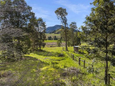 162 BLUE KNOB ROAD, Nimbin