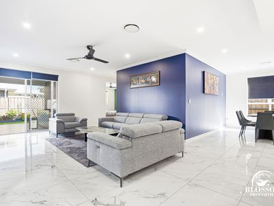 53 Ribbonwood Crescent, Marsden Park