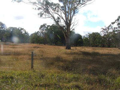 Torrington Road, Stannum