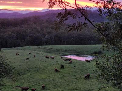 474 Whelan Road, Bollier