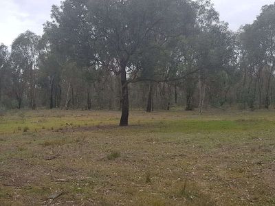 52 Masons Gap Road, Indigo Valley