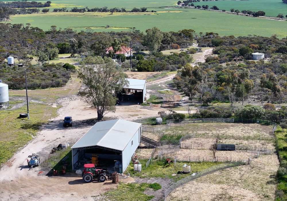 'Kamdarley' & 'King View', Hyden