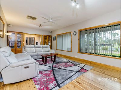 58 Melrose Street, Mount Pleasant