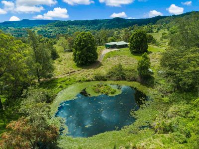 78D Davis Road, Jiggi