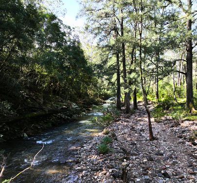 Lot 1 Pig Road, Currowan