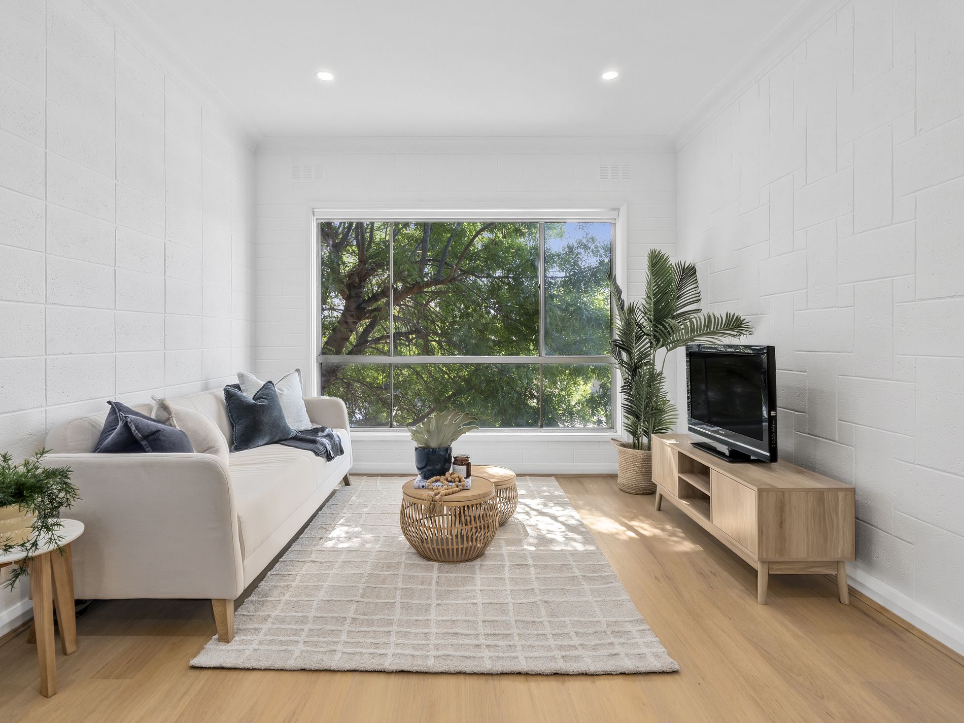3/103 Gertrude Street, Geelong West