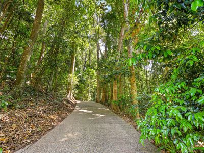 10 Rainforest Road, Edmonton