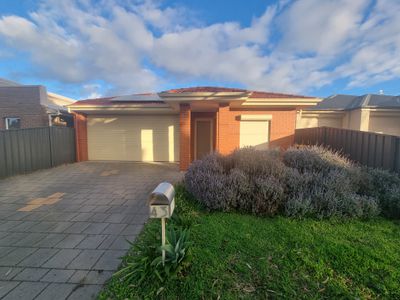 43 Aldridge Ave, Plympton Park