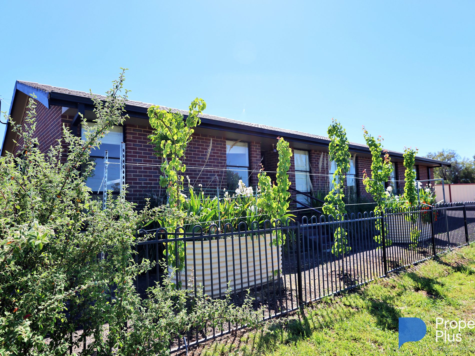 10 Honeysuckle Street, Eaglehawk