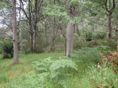 Lot 5 Wylies Road, Cradoc