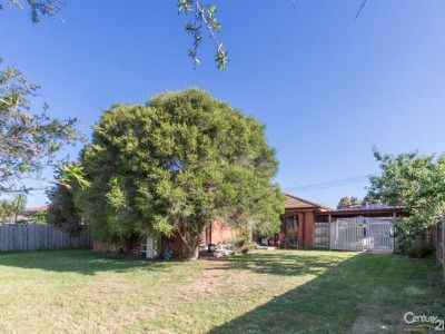 11 Jasper Court, Hampton Park