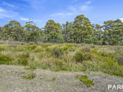 2235 East Tamar Highway, Mount Direction