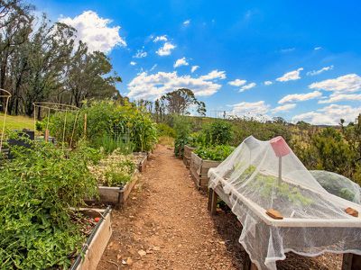3852 Jingellic Road, Lankeys Creek