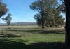 Lot 2 Garra Road, Molong