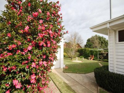 11 Dunlop Street, Wangaratta
