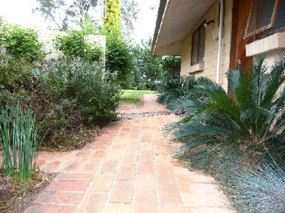 343 Kow Swamp Rd, Cohuna