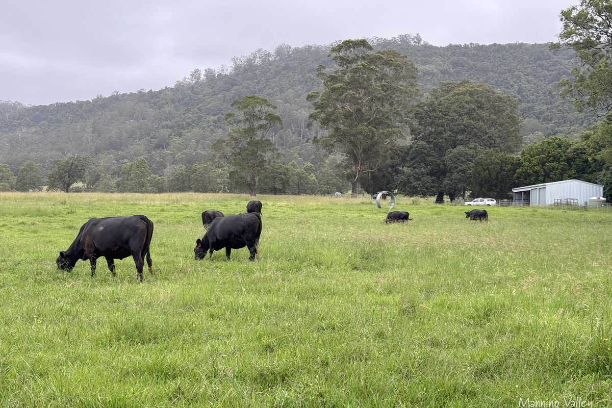 158 Somerset Road, Kimbriki