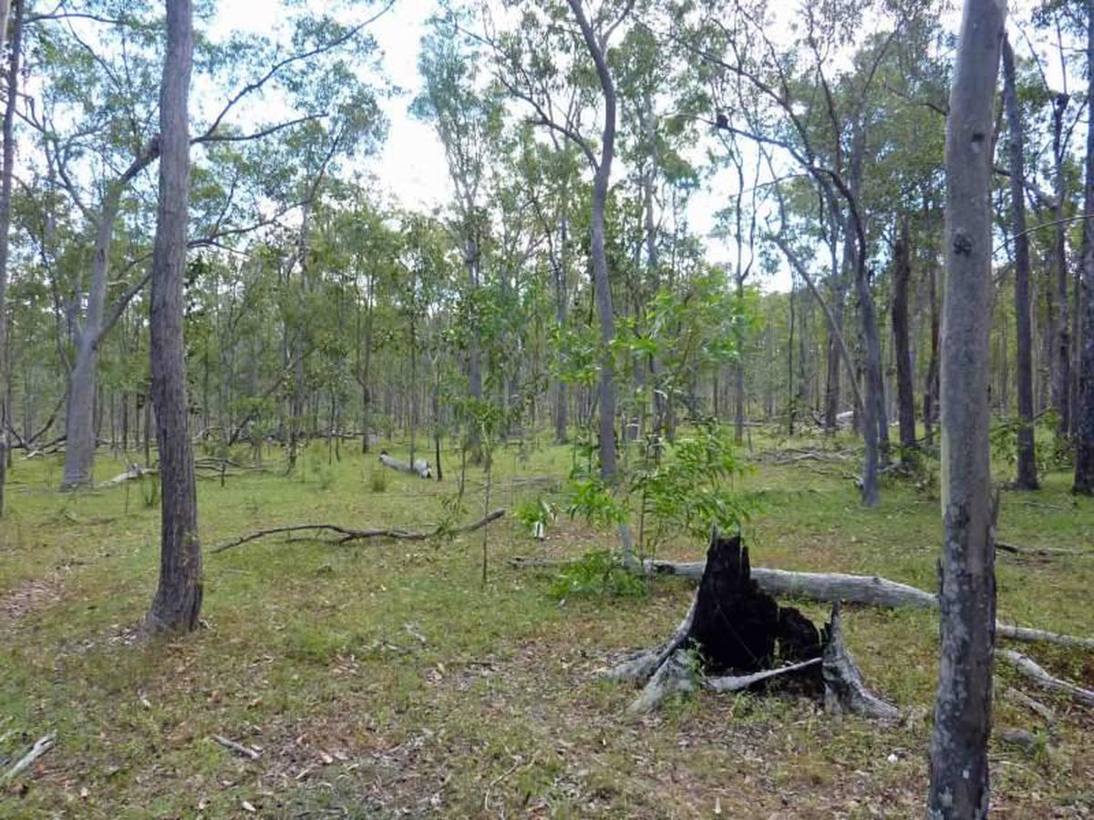 Ravenshoe