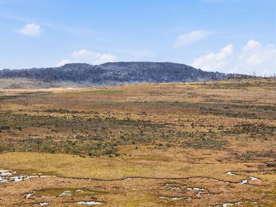 2533 Marlborough Road, Little Pine Lagoon