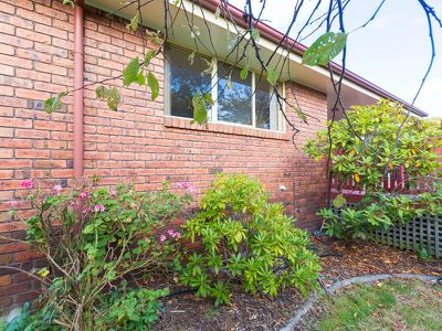 7 Hazel Court, Ulverstone