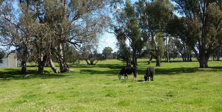 745 Balmattum North Road, Balmattum