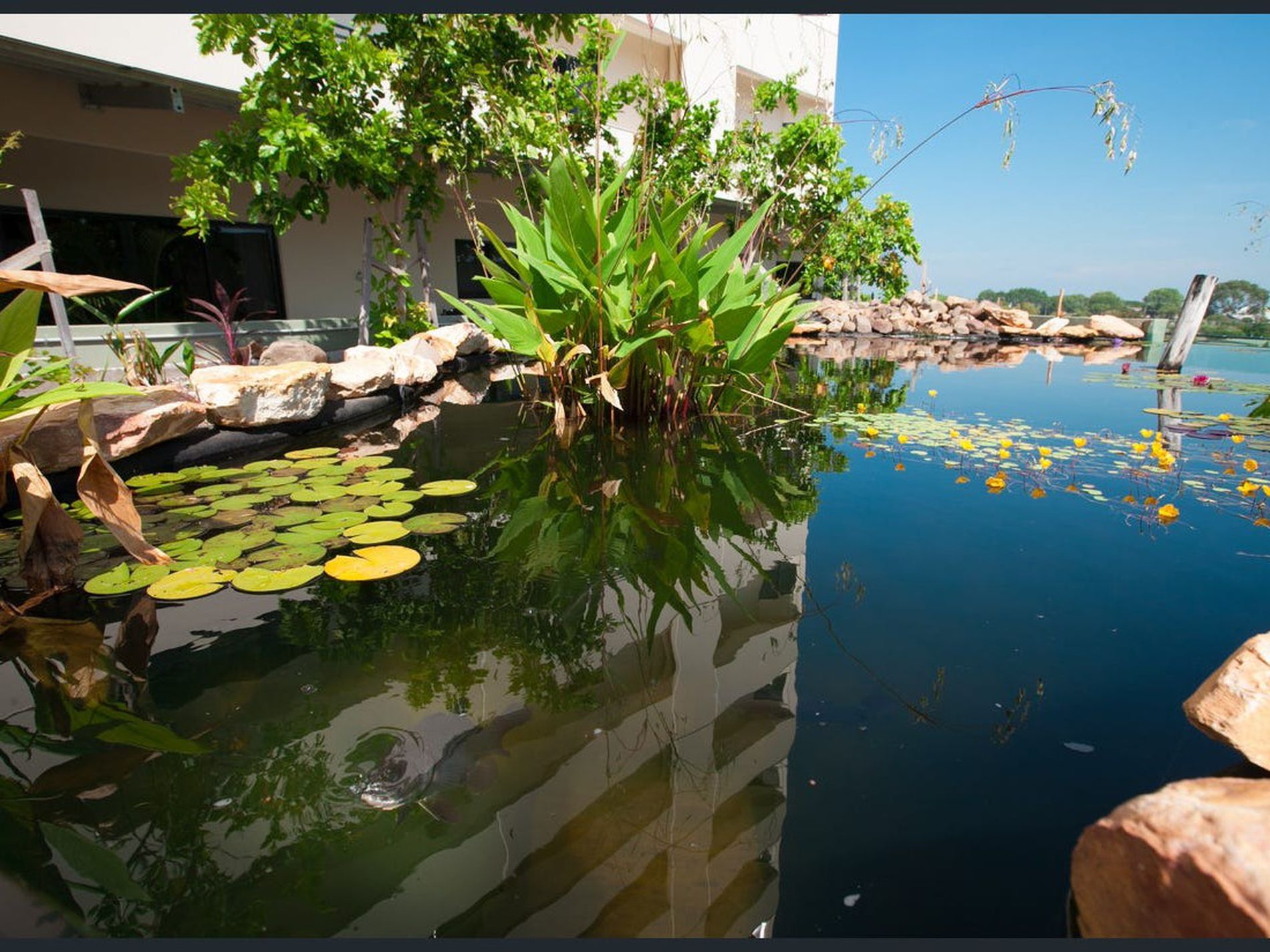 305 / 12 salonika, Parap