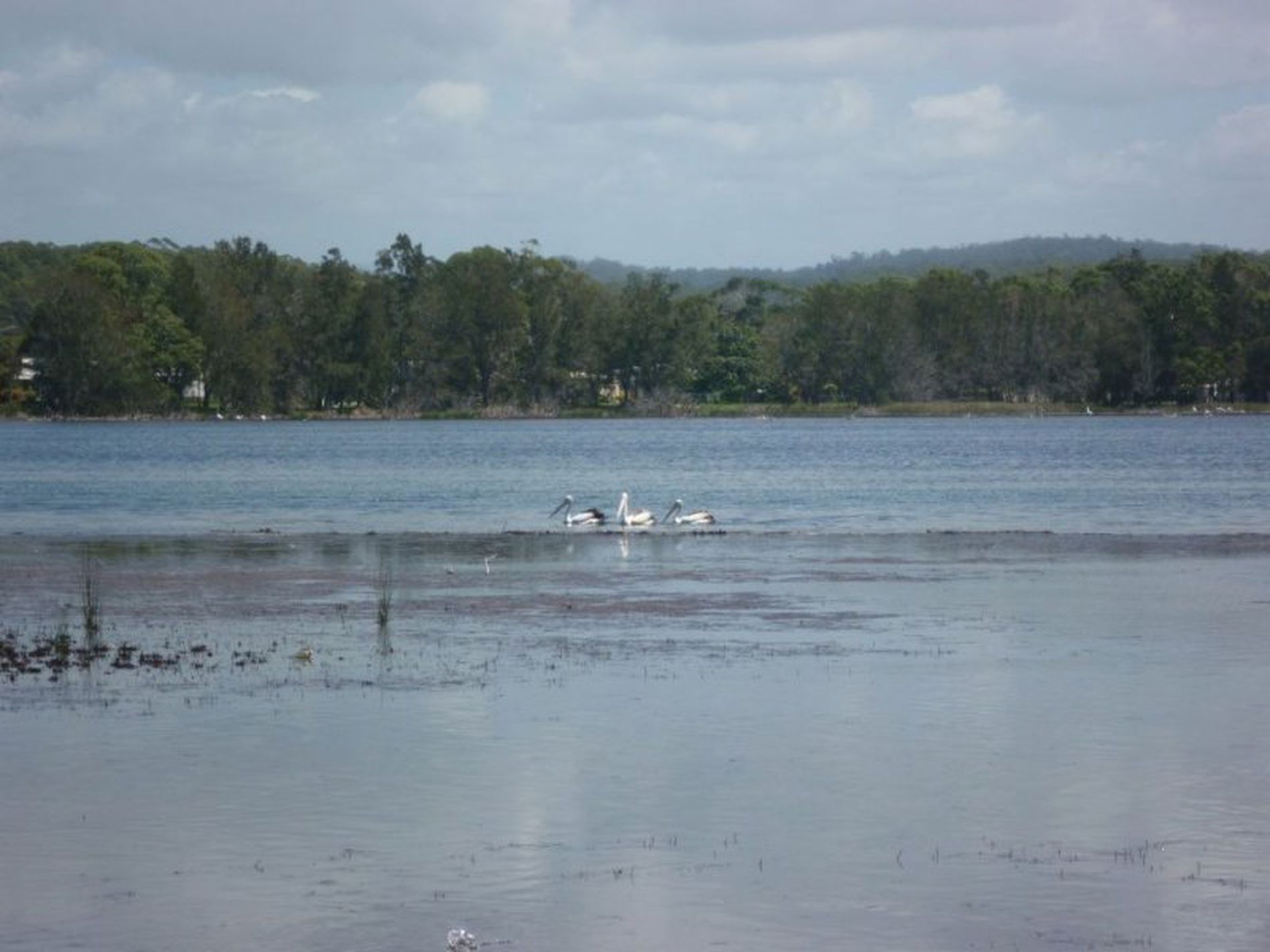 56 Mcdonald Parade, Burrill Lake