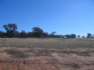 LOTS 1 - 4 VYE LANE, Derrinal