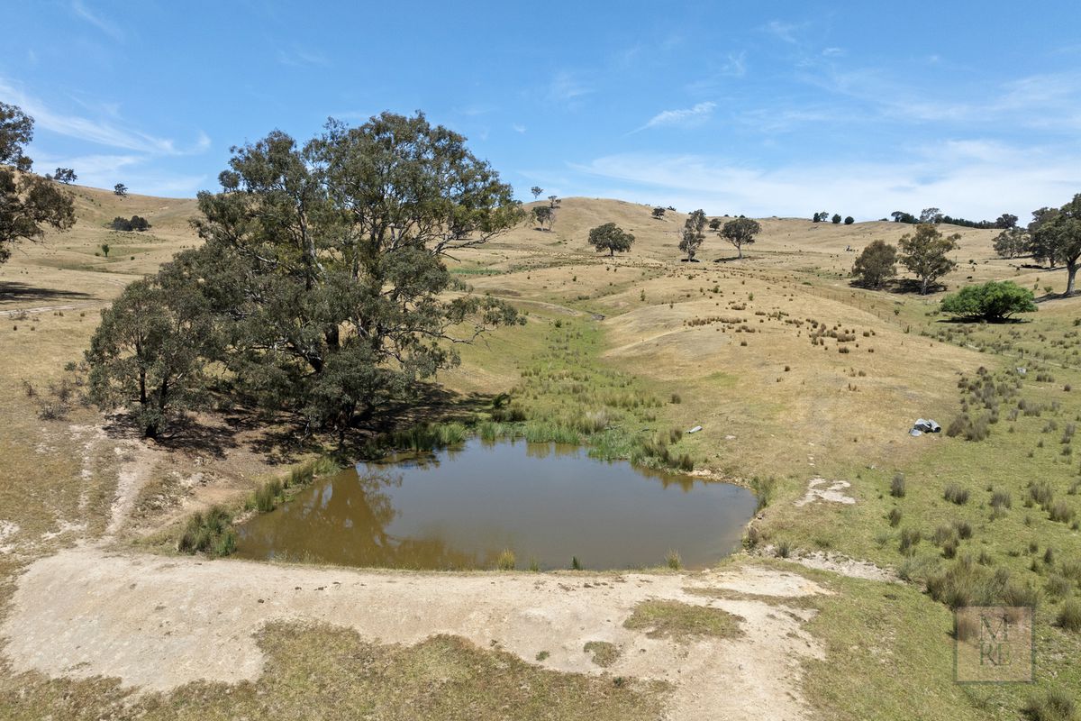 'Dalhaven' via Hells Hole Creek Road, Bonnie Doon